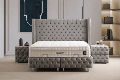 Lit Coffre CLOUTE Velours Gris